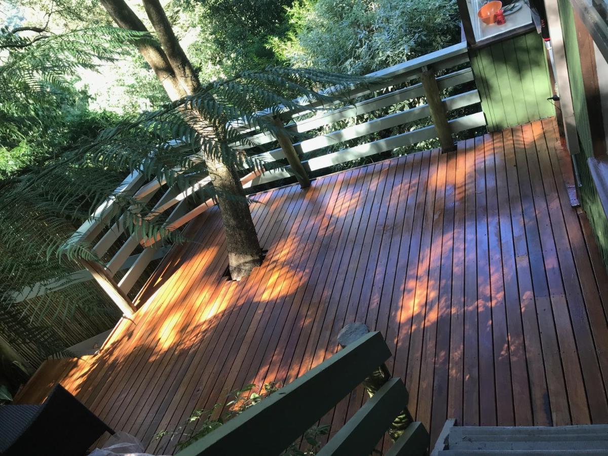 Sassafras Treehouse Private Home In The Dandenong Ranges, Victoria 外观 照片