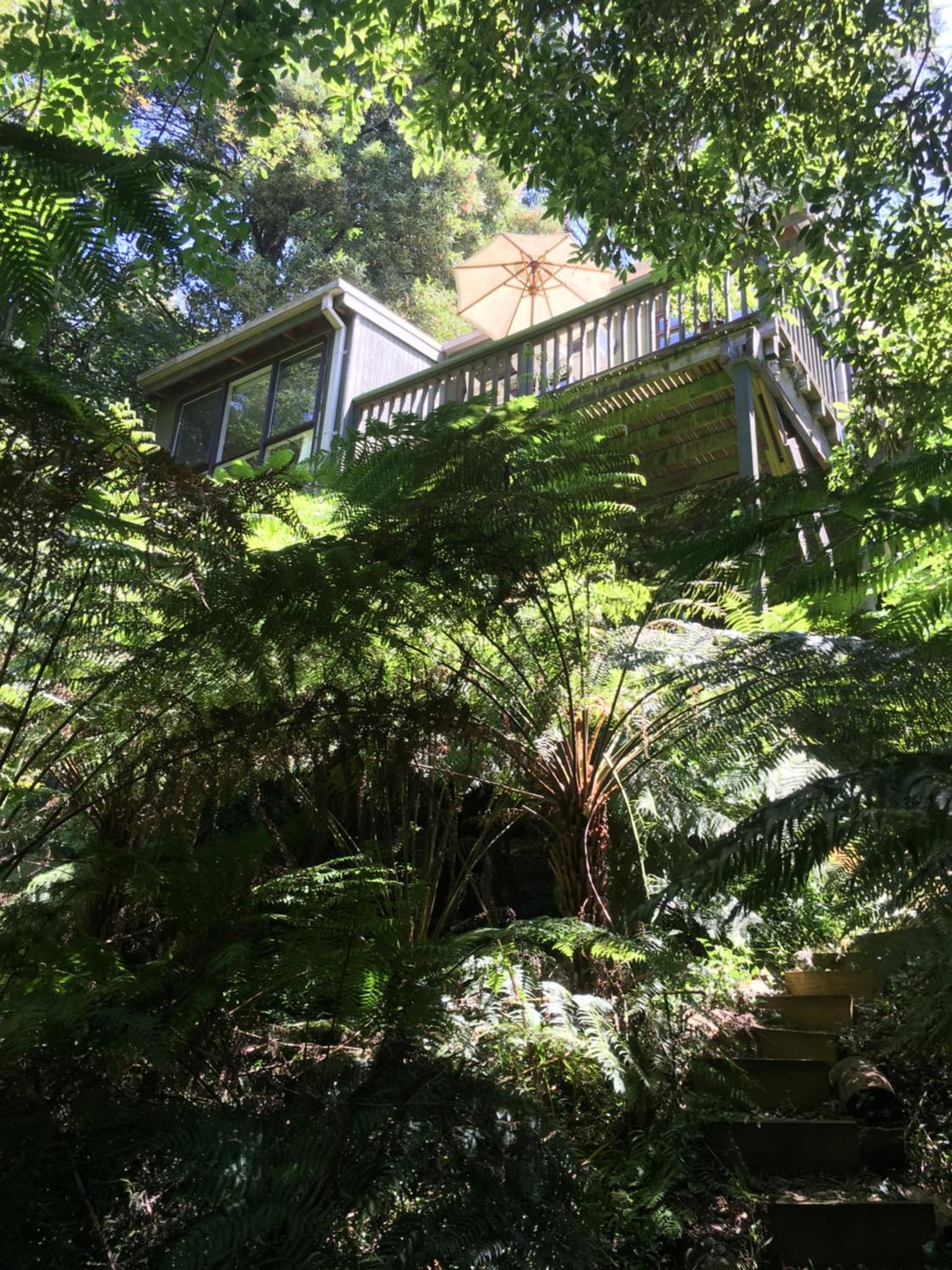 Sassafras Treehouse Private Home In The Dandenong Ranges, Victoria 外观 照片