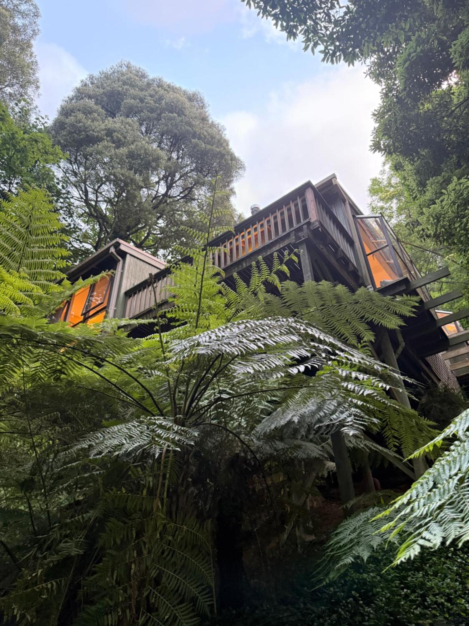 Sassafras Treehouse Private Home In The Dandenong Ranges, Victoria 外观 照片