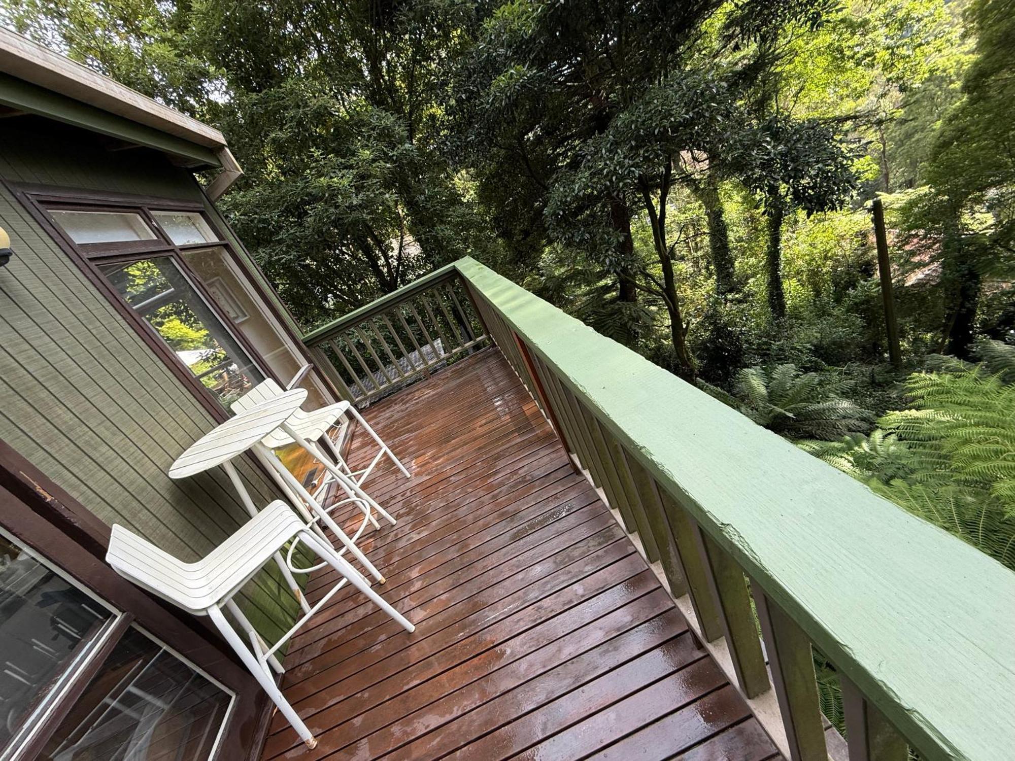 Sassafras Treehouse Private Home In The Dandenong Ranges, Victoria 外观 照片
