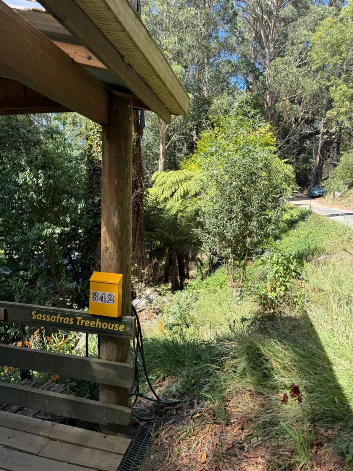 Sassafras Treehouse Private Home In The Dandenong Ranges, Victoria 外观 照片